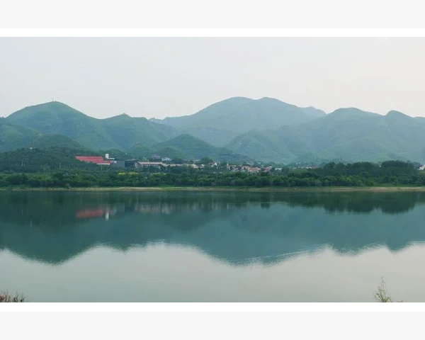 脾虚的症状及调理——让你的身体更健康